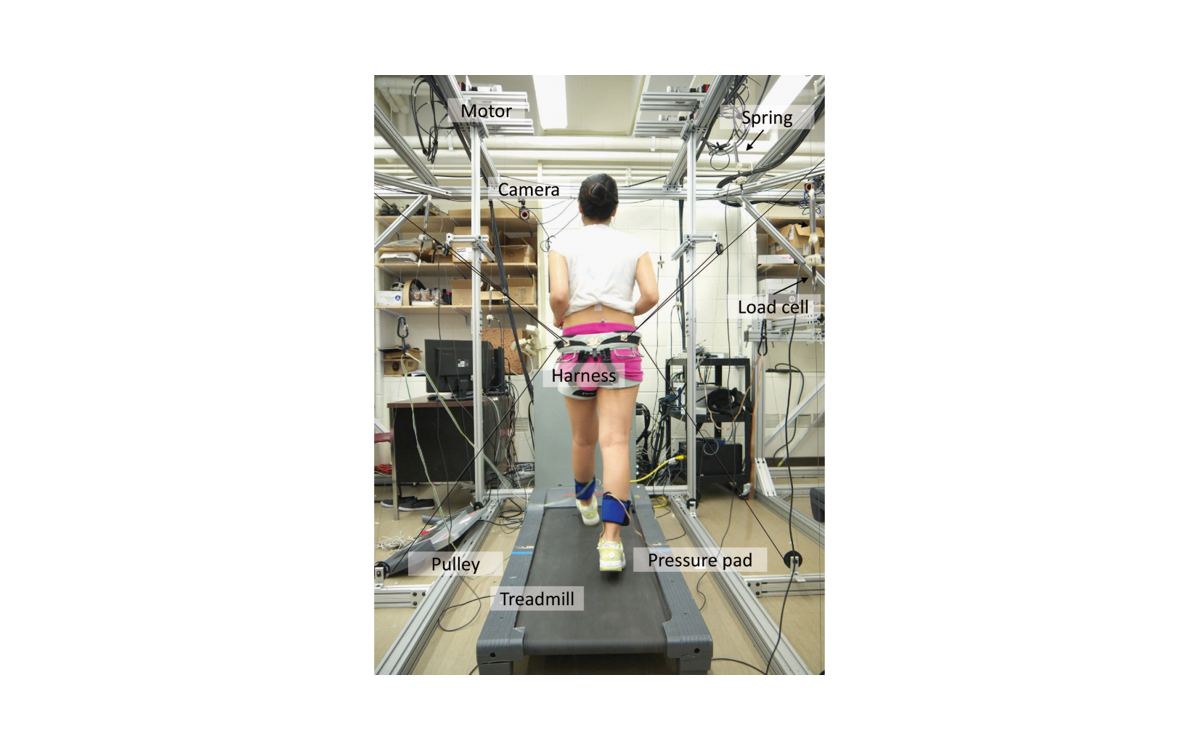 A subject walking on a treadmill while wearing the Tethered Pelvic Assist Device (TPAD)