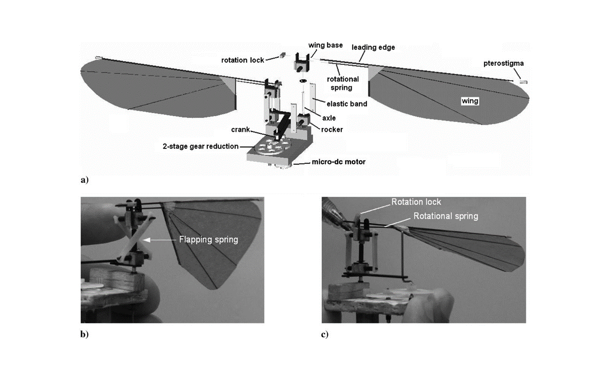 Details of design of a flapping robot