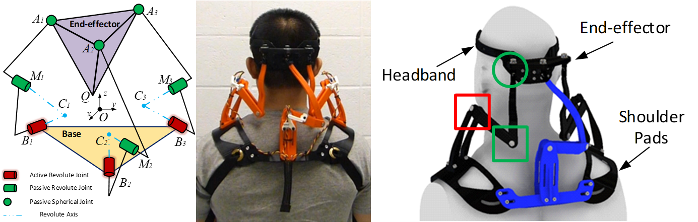 Left: Schematic of the neck brace (3 R-R-S chains connected in parallel). Middle: Rear view of a subject wearing the neck brace.  Right: CAD model of the neck brace on a mannequin