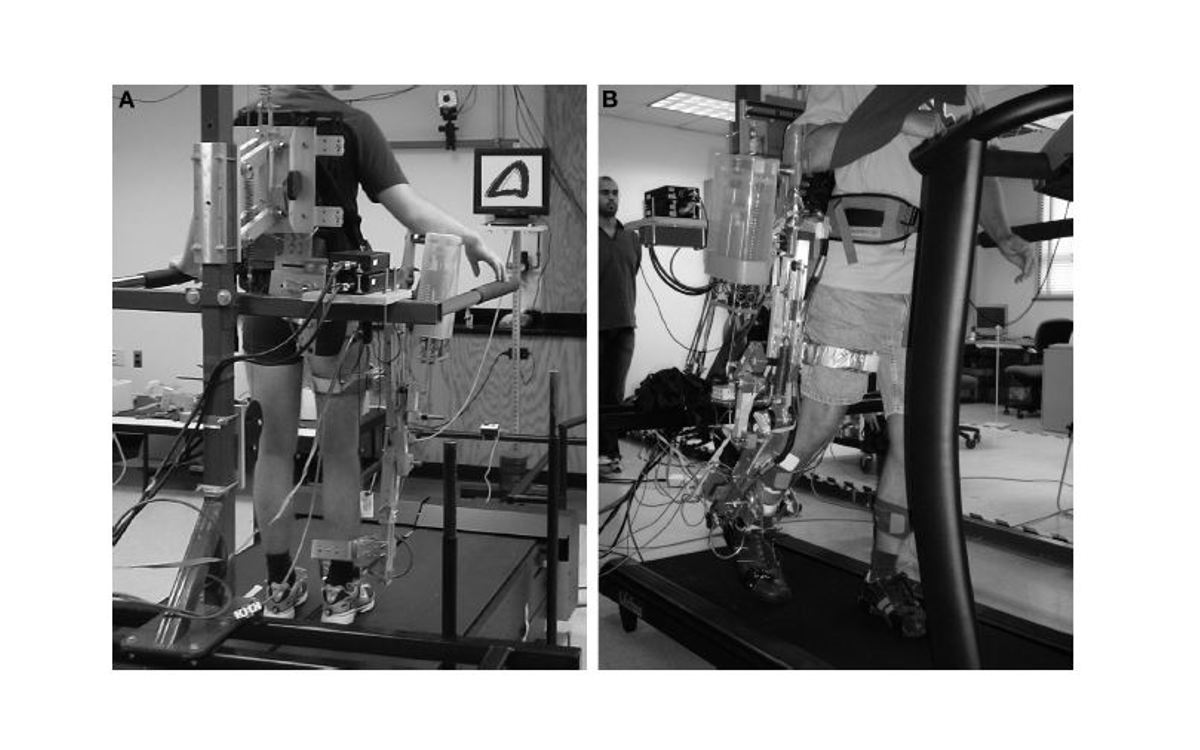 The gravity-balanced orthosis (GBO) tested by a subject on a split-belt treadmill The gravity-balanced orthosis (GBO)
