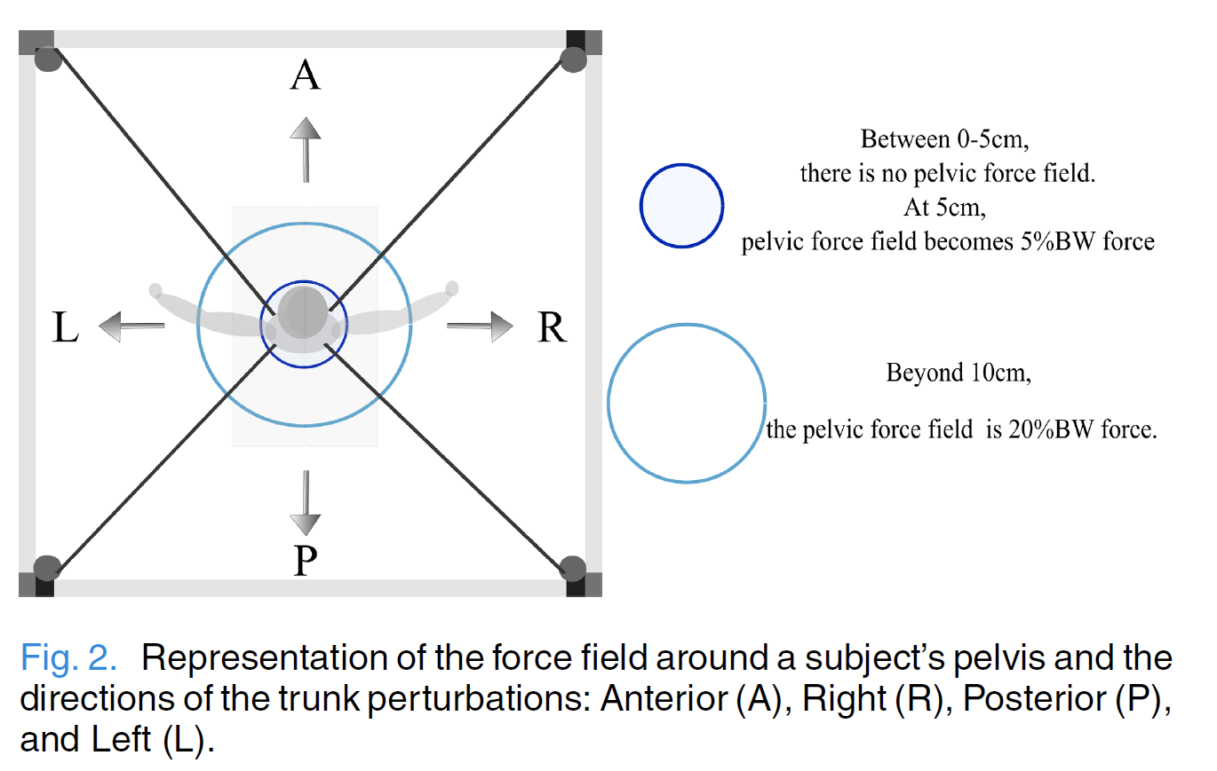 diagram of the Force Field
