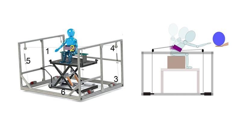 Trunk Support Trainer (TruST). Trunk Support Trainer (TruST).