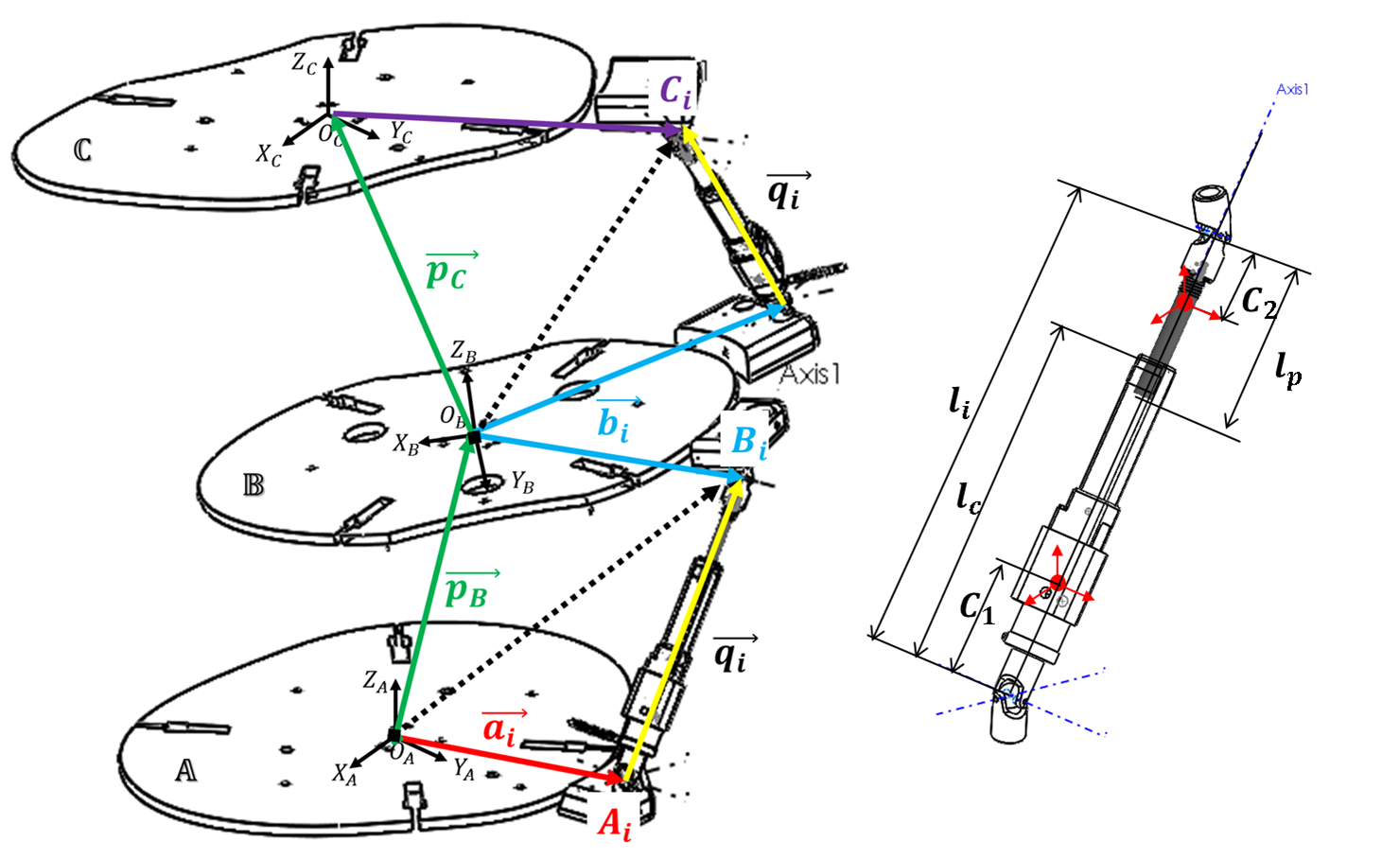 Left: Schematic of RoSE platforms. Right Schematic of linear actuator used in RoSE