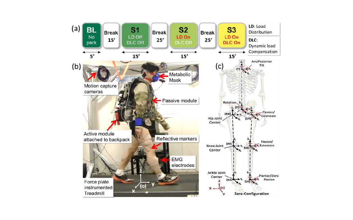 Load distribution during walking with a backpack Load distribution during walking with a backpack