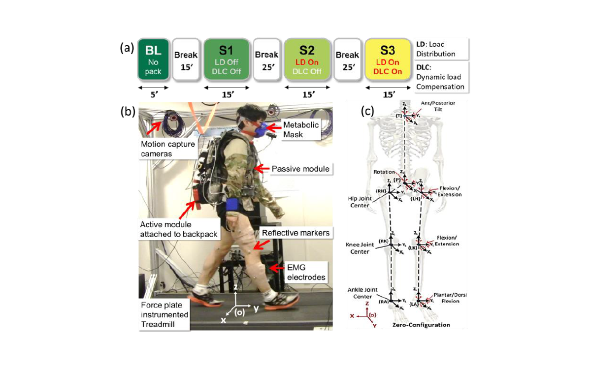 Load distribution during walking with a backpack