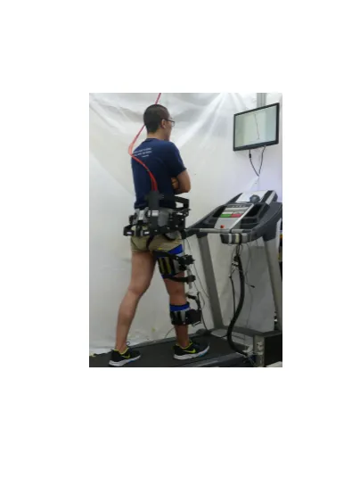 C-ALEX Treadmill training