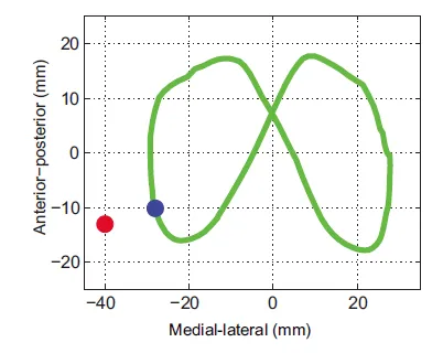 Visual Feedback provided to the subject during training