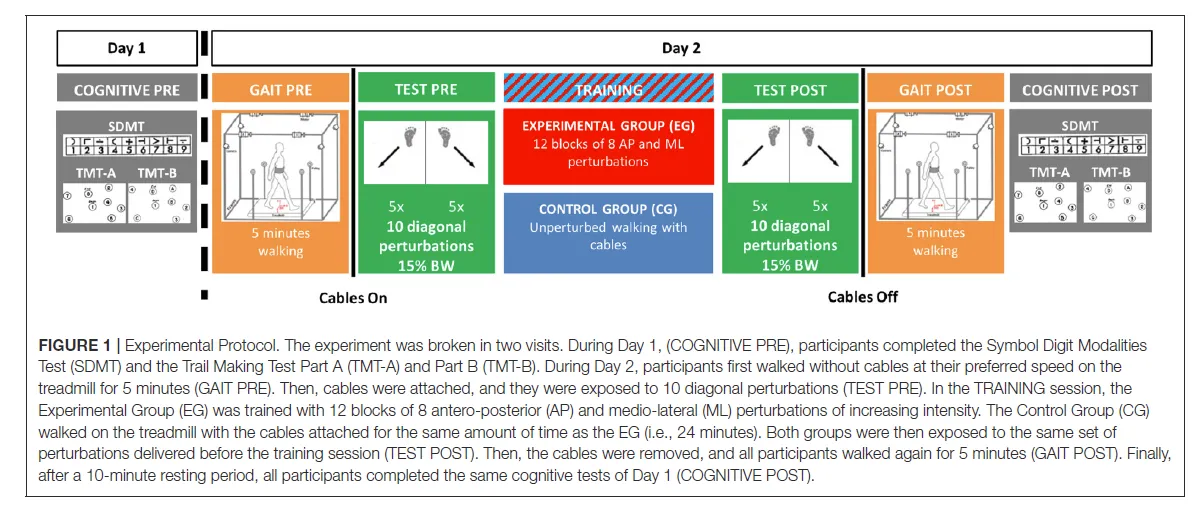 Experimental Protocol