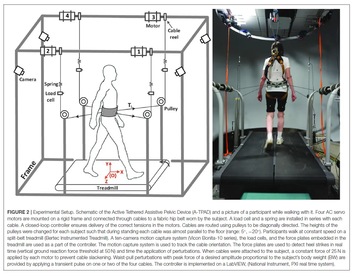 Experimental Setup
