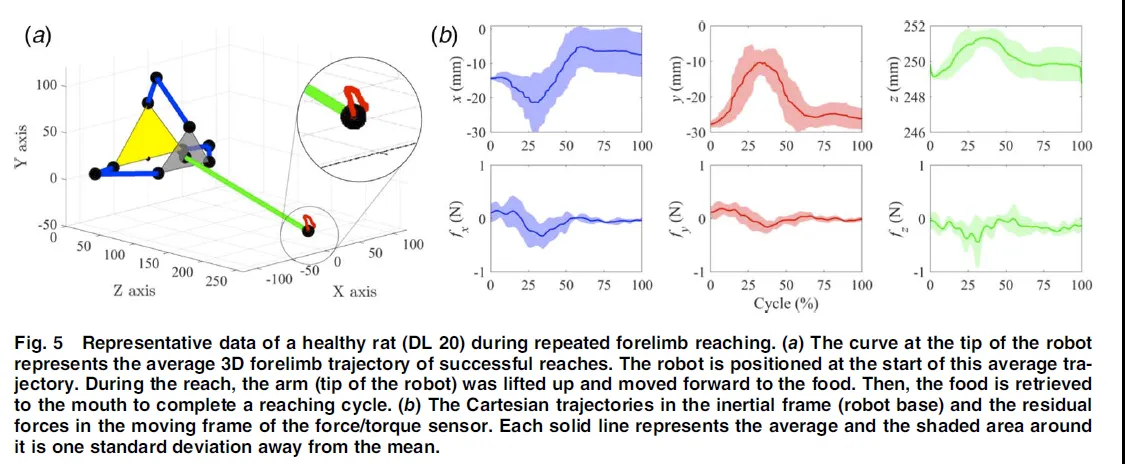 Representative data of a healthy rat during repeated forelimb reaching