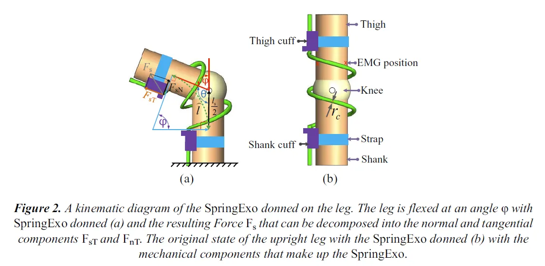 Kinematic diagram of the SpringExo