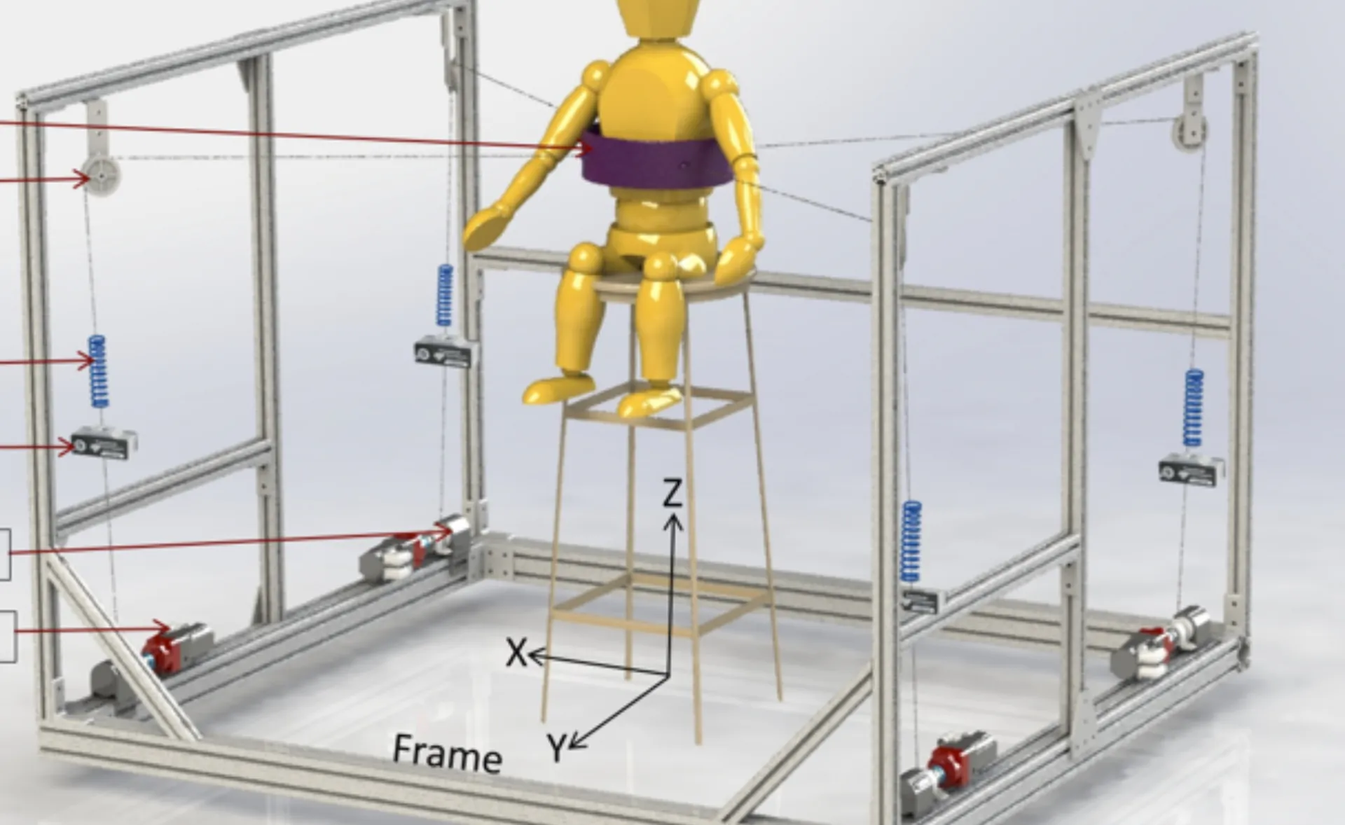 Trunk Support Trainer