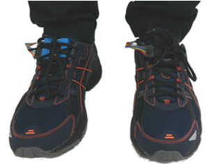 DeepSole system