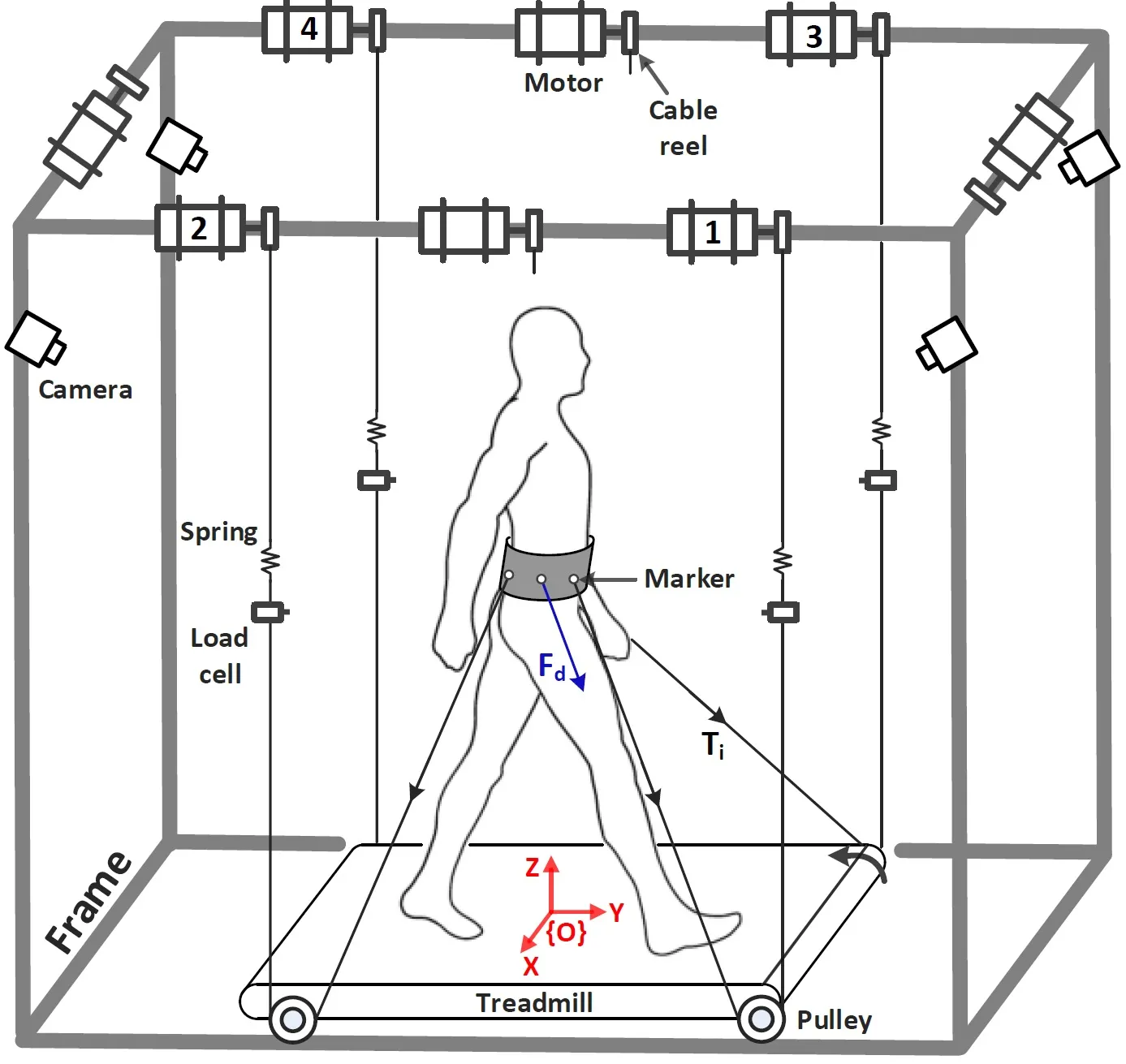 Experimental Setup