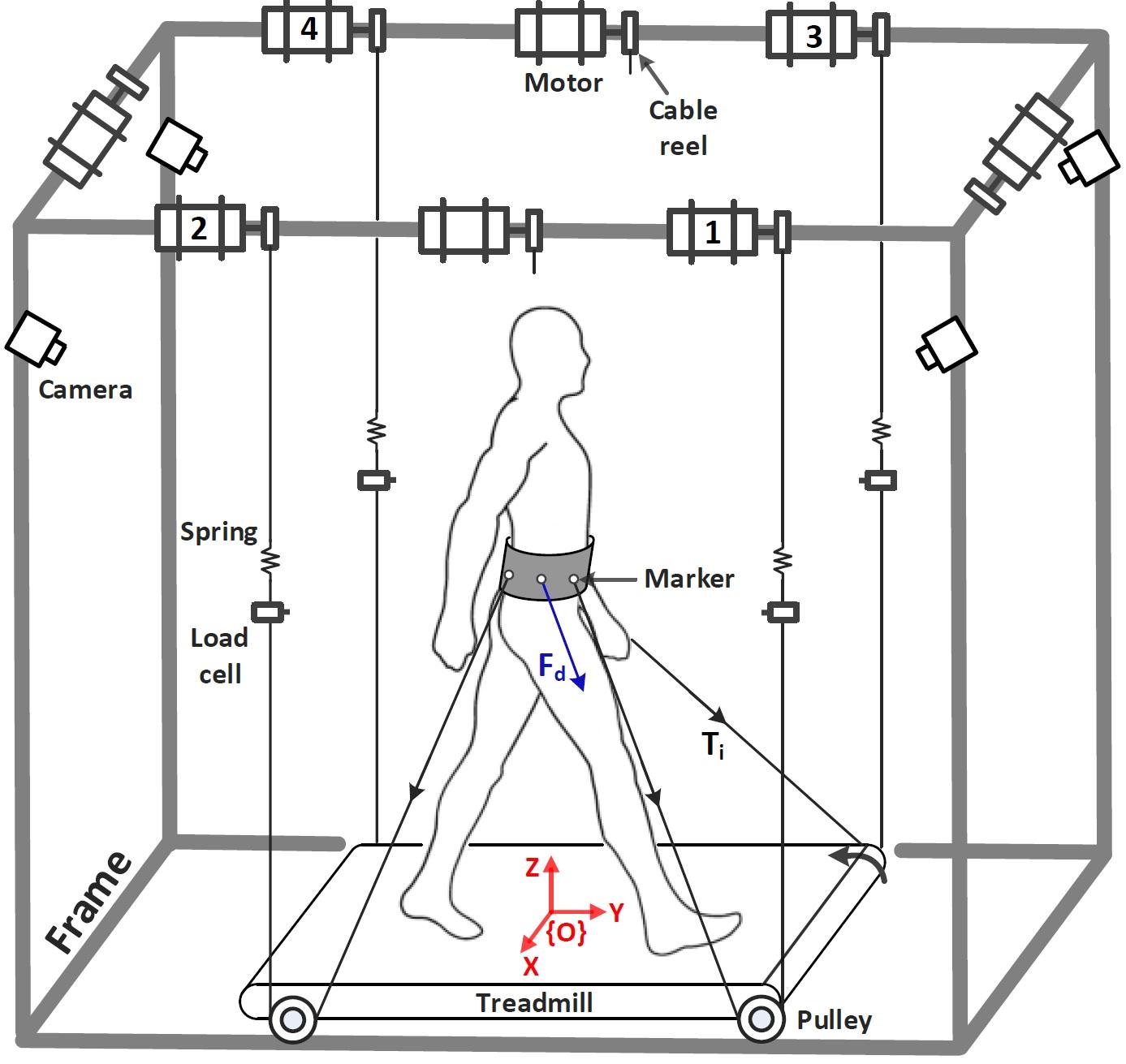 Experimental Setup