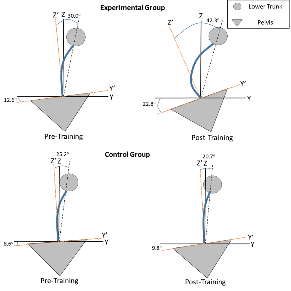 Lower trunk and pelvis schematic