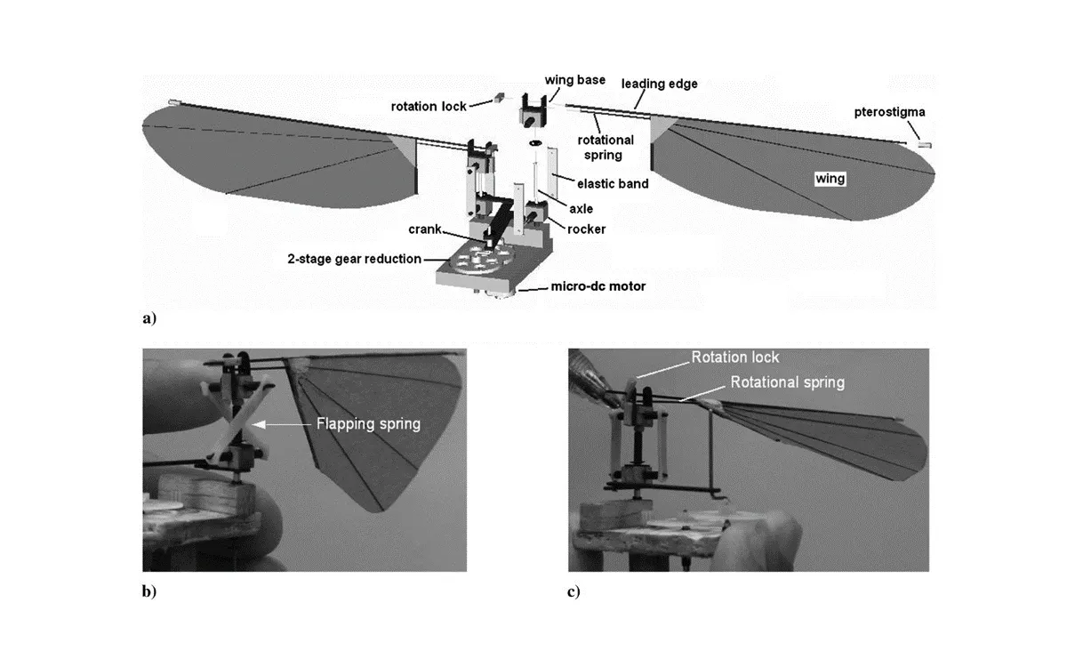 Details of design of a flapping robot