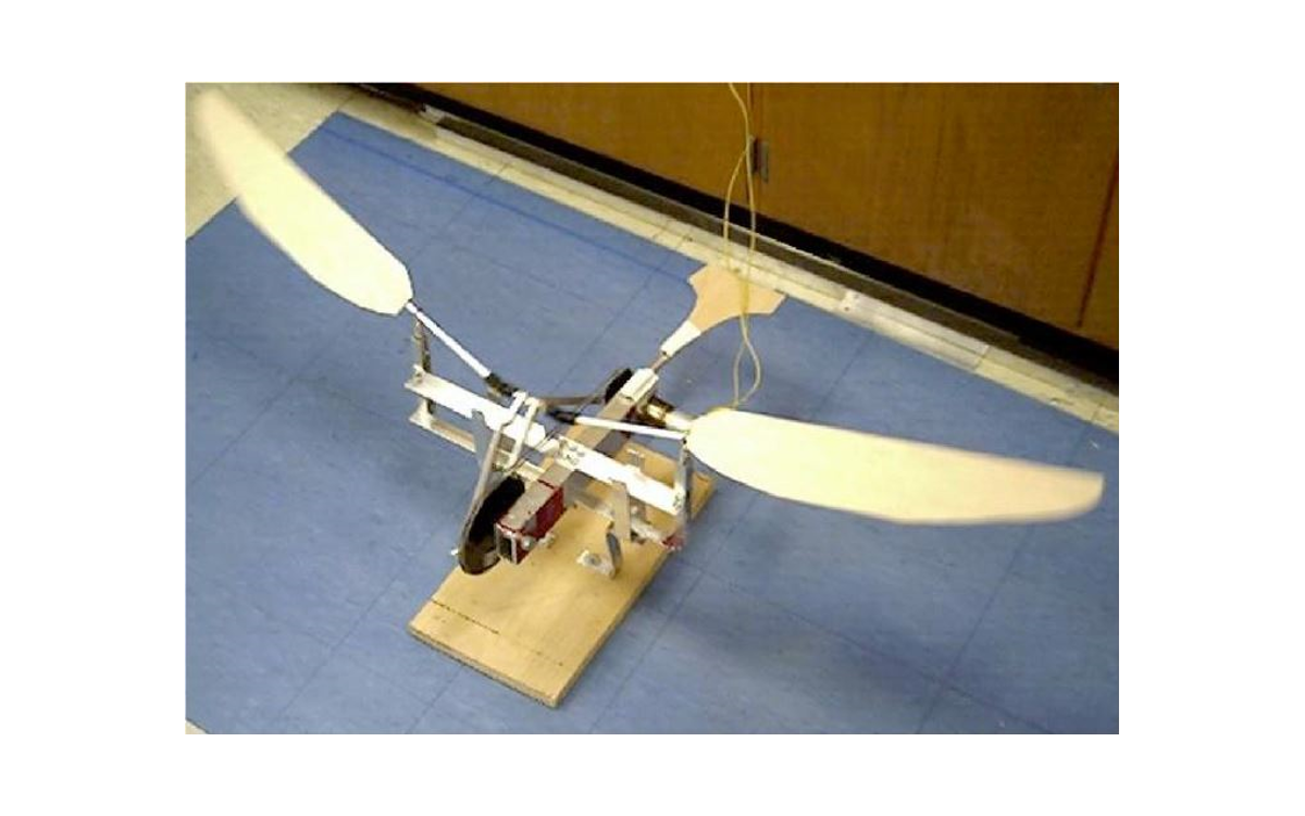 Model of a flapping robot