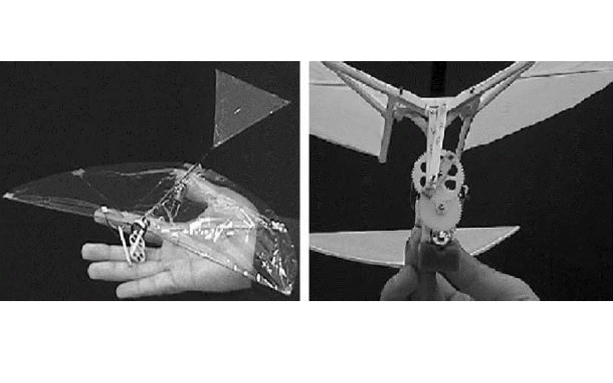 Prototypes of birds with high-speed flapping wings