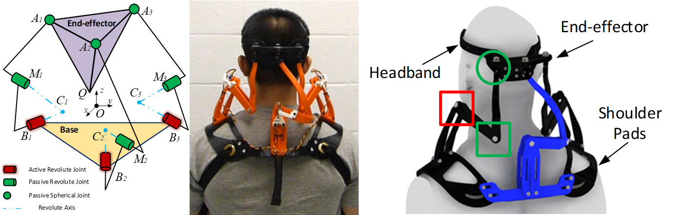 Neck Brace Design Left: Schematic of the neck brace (3 R-R-S chains connected in parallel). Middle: Rear view of a subject wearing the neck brace. Right: CAD model of the neck brace on a mannequin